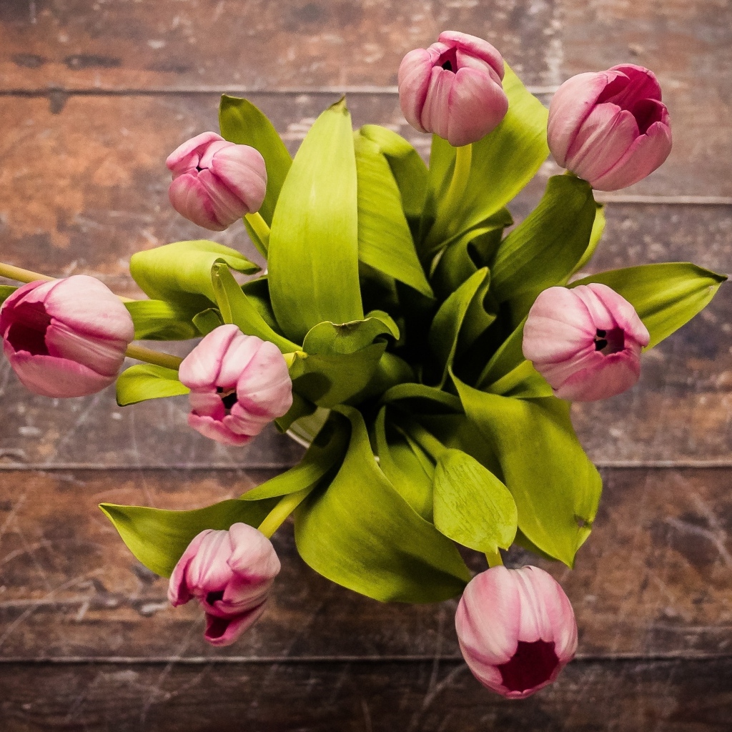 Вид сверху на букет розовых тюльпанов