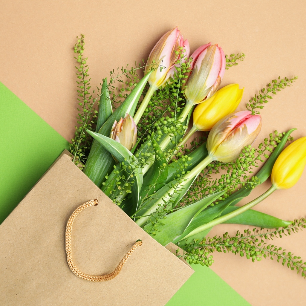 Тюльпаны в бумажном пакете