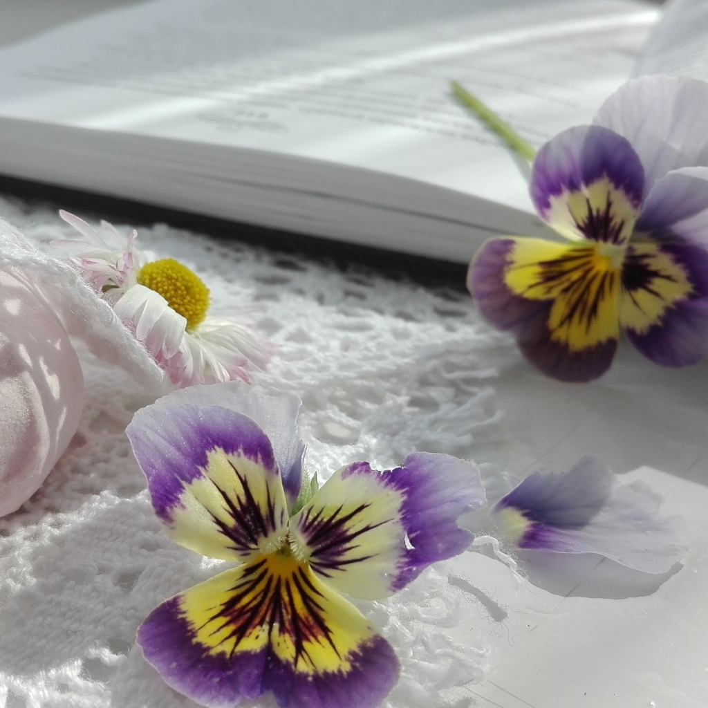 Два цветка анютины глазки с книгой и зефиром