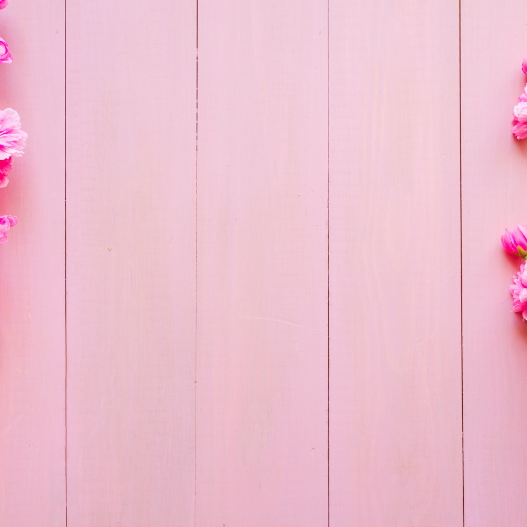 Два весенних цветка на розовом фоне