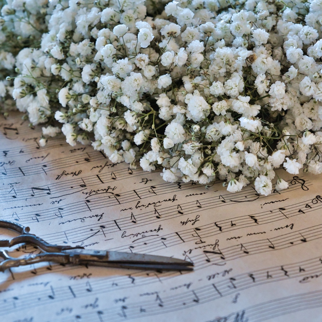 Белые цветы гипсофилы с ножницами и нотной тетрадью