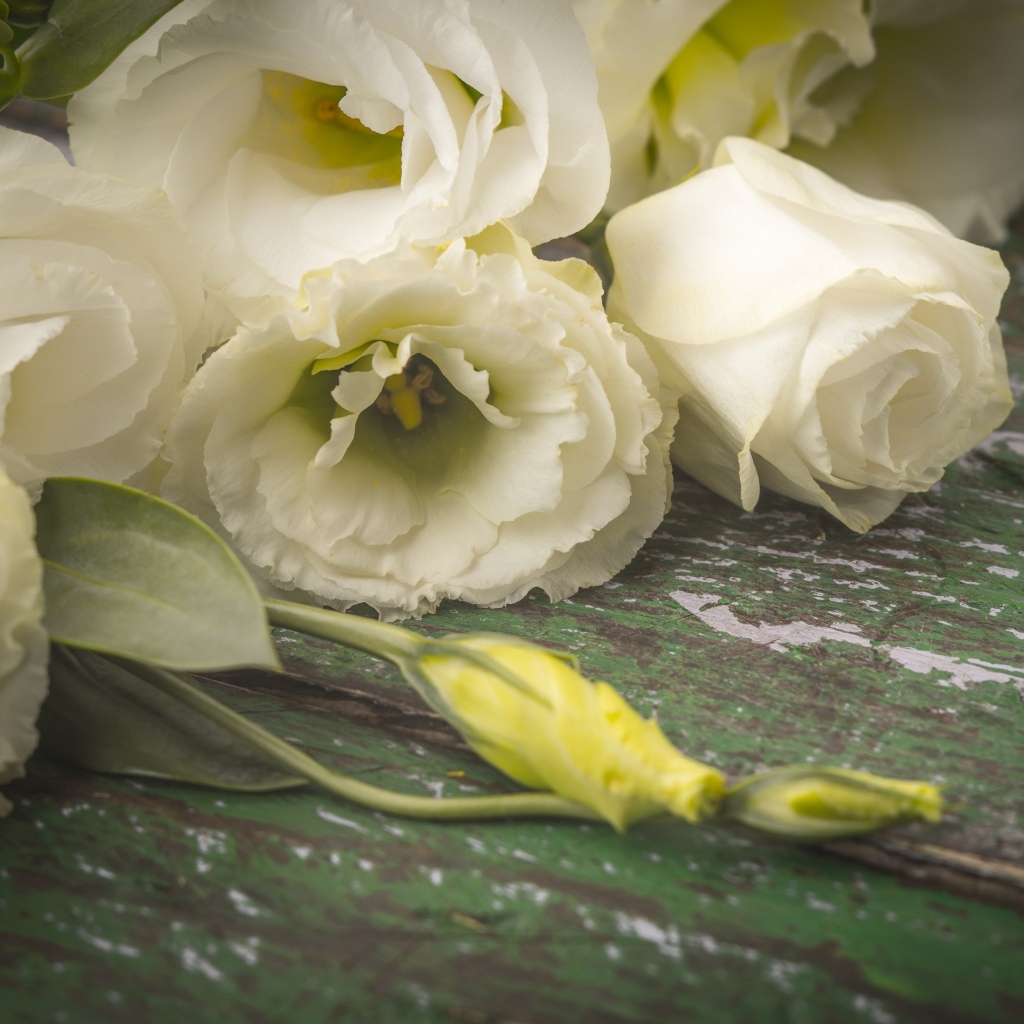 Белые розы и цветы эустомы на столе