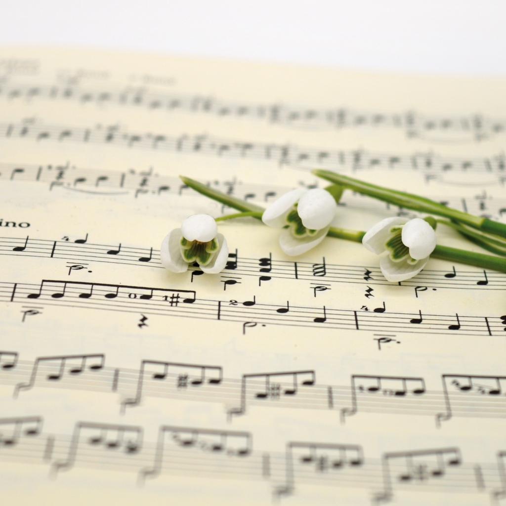 Белые подснежники на нотной тетради