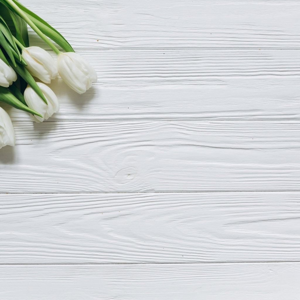 Белые тюльпаны в углу на белом деревянном фоне