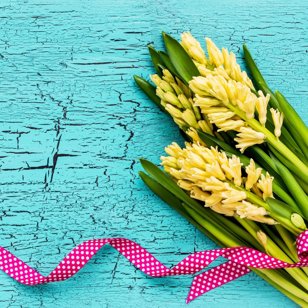 Желтые гиацинты с лентой на голубом фоне