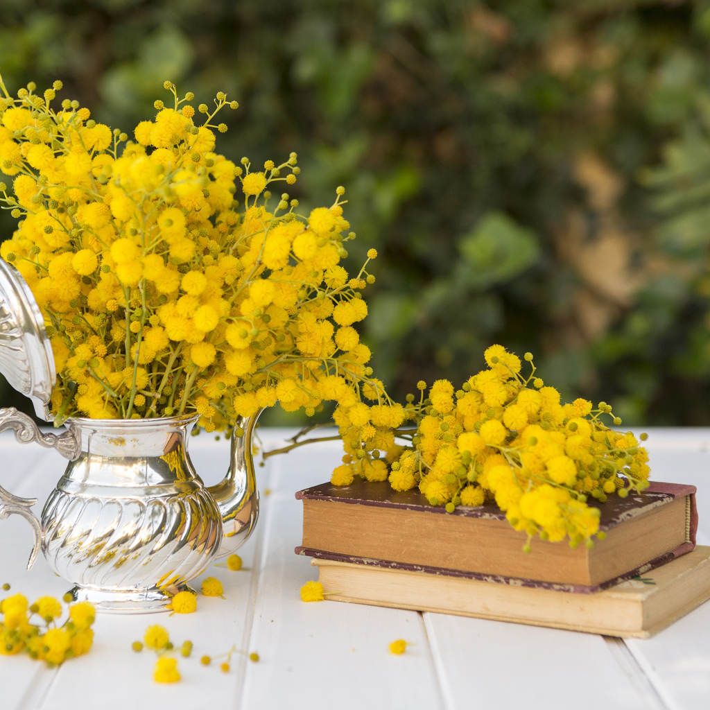 Желтые цветы мимозы на столе с книгами