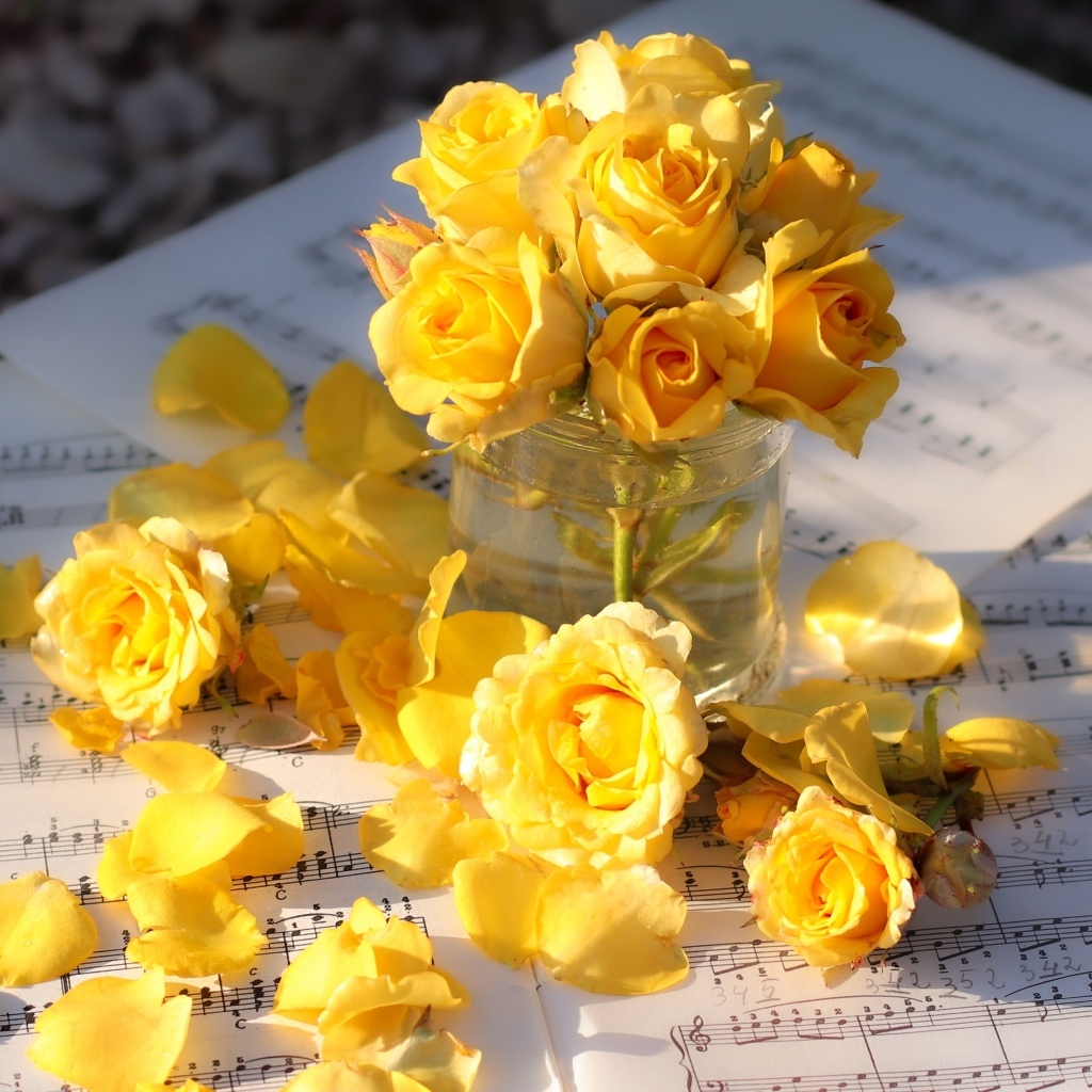 Желтые розы на нотных листах в лучах солнца
