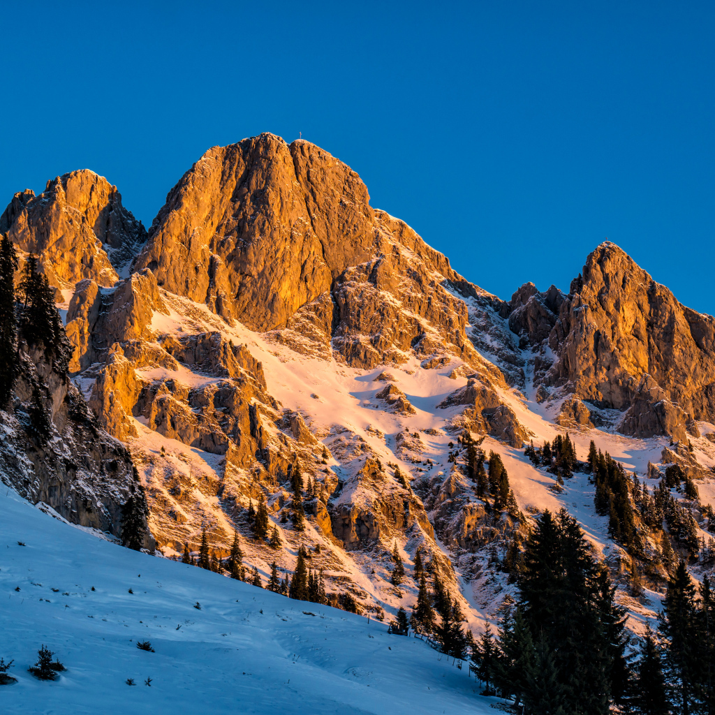 Австрийские альпы в снегу