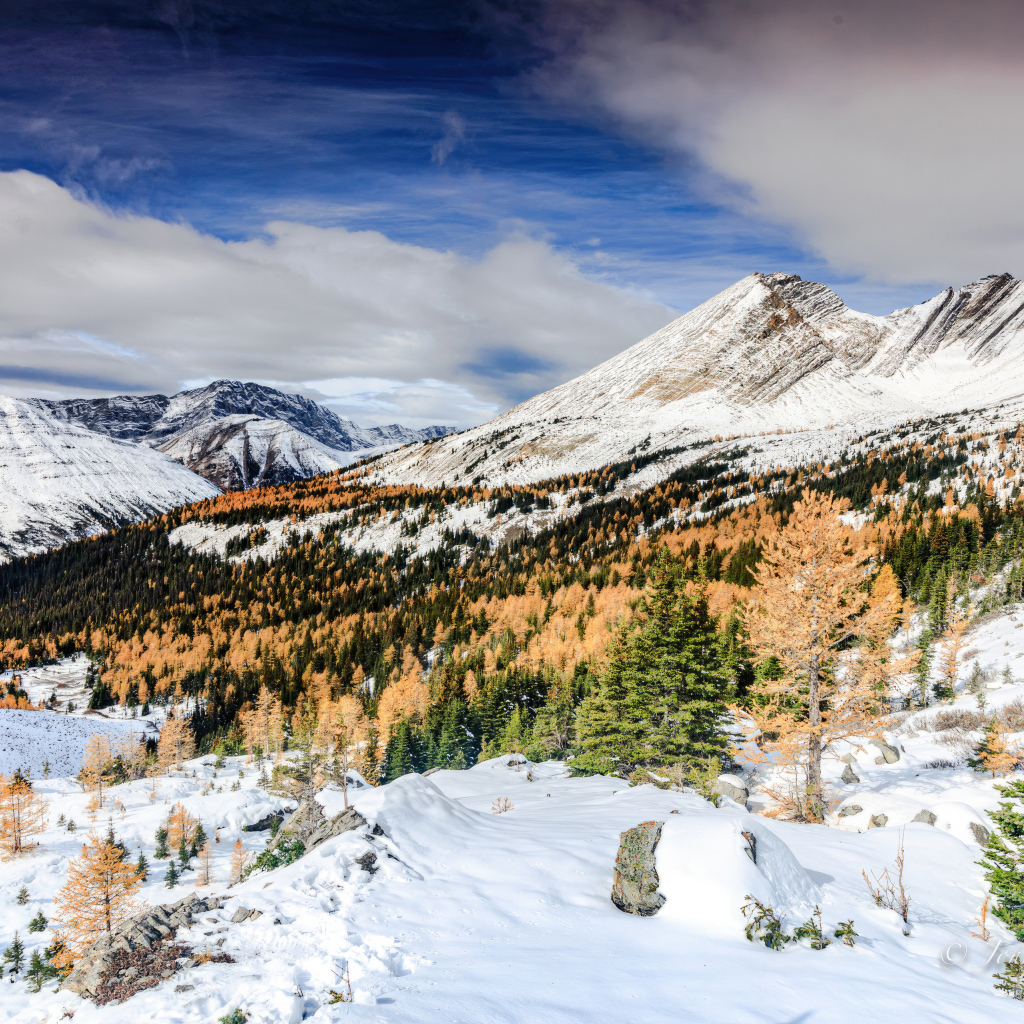 Красивый вид на холодные заснеженные горы