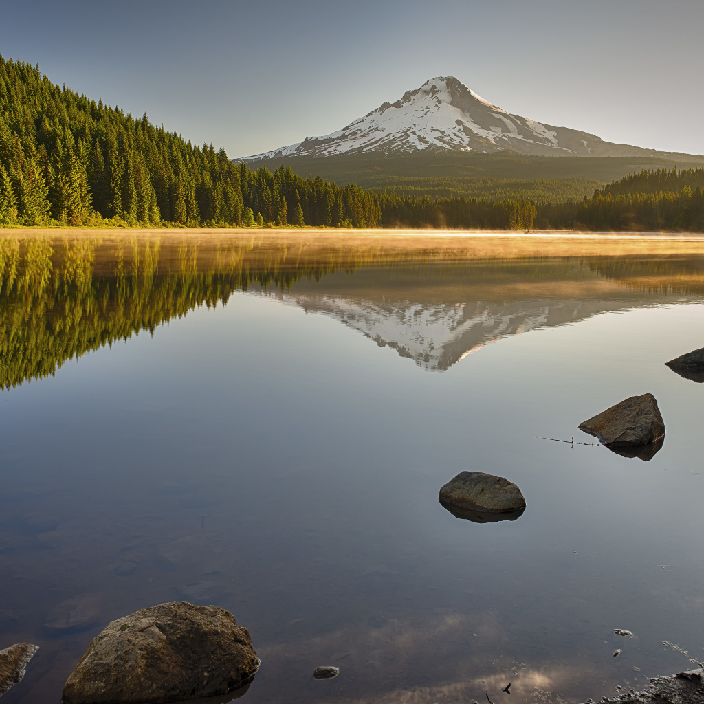 Красивый вид на озеро, лес и заснеженную гору