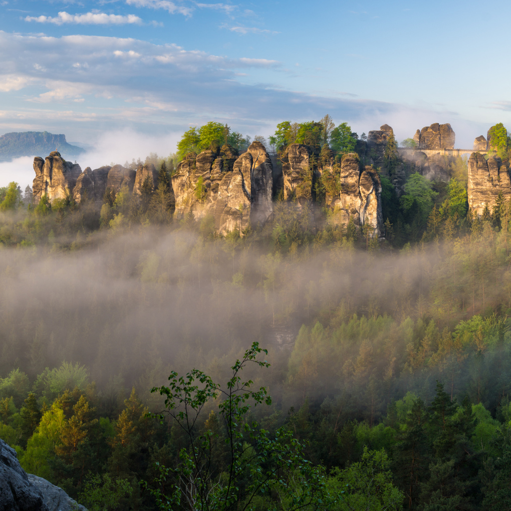 Туман над лесом в горном ущелье