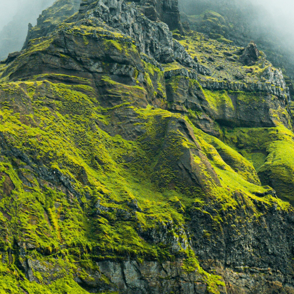 Высокая гора покрыта зеленой растительностью