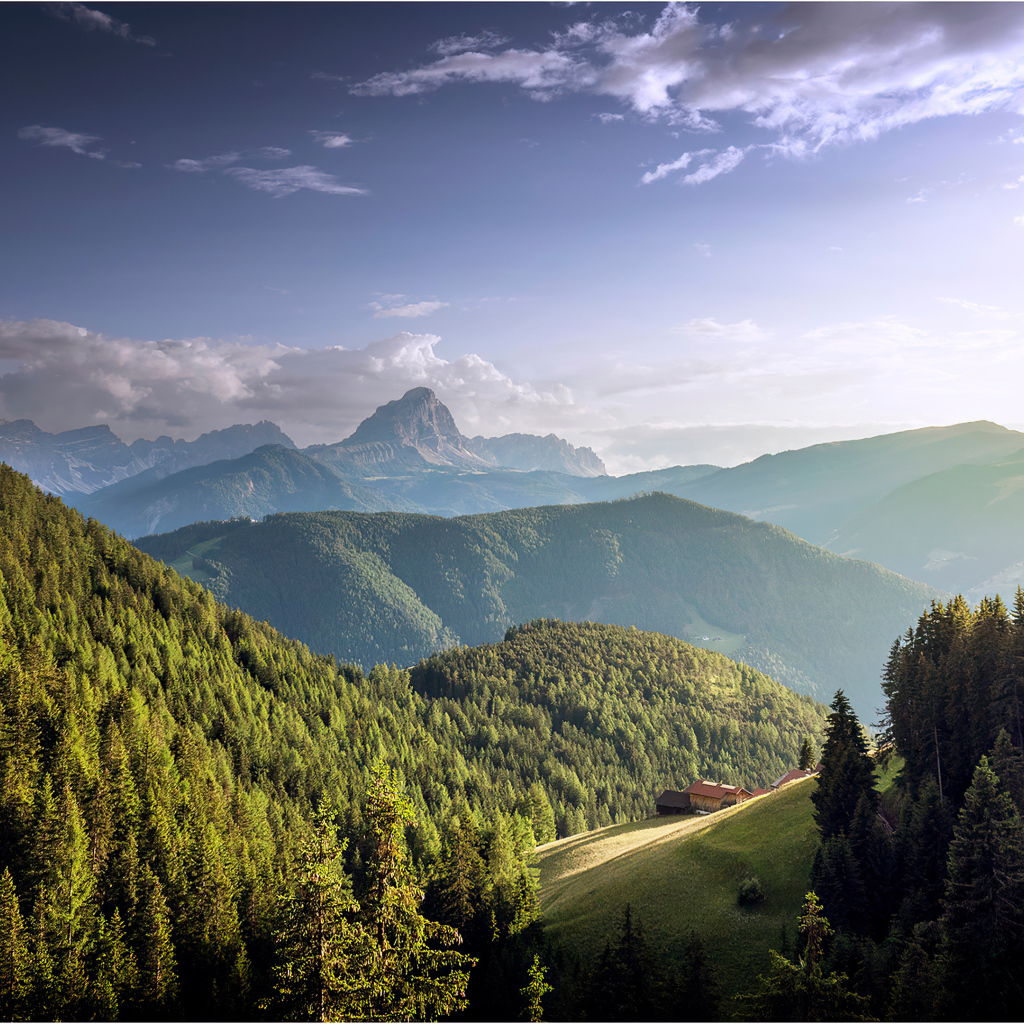 Большие покрытые густым лесом горы