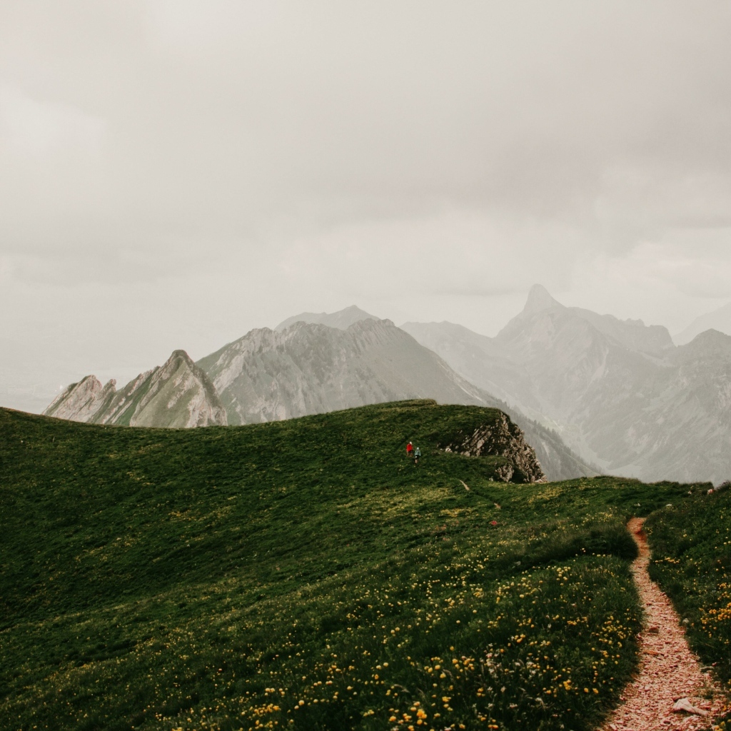 Тропа в покрытых зеленой травой горах