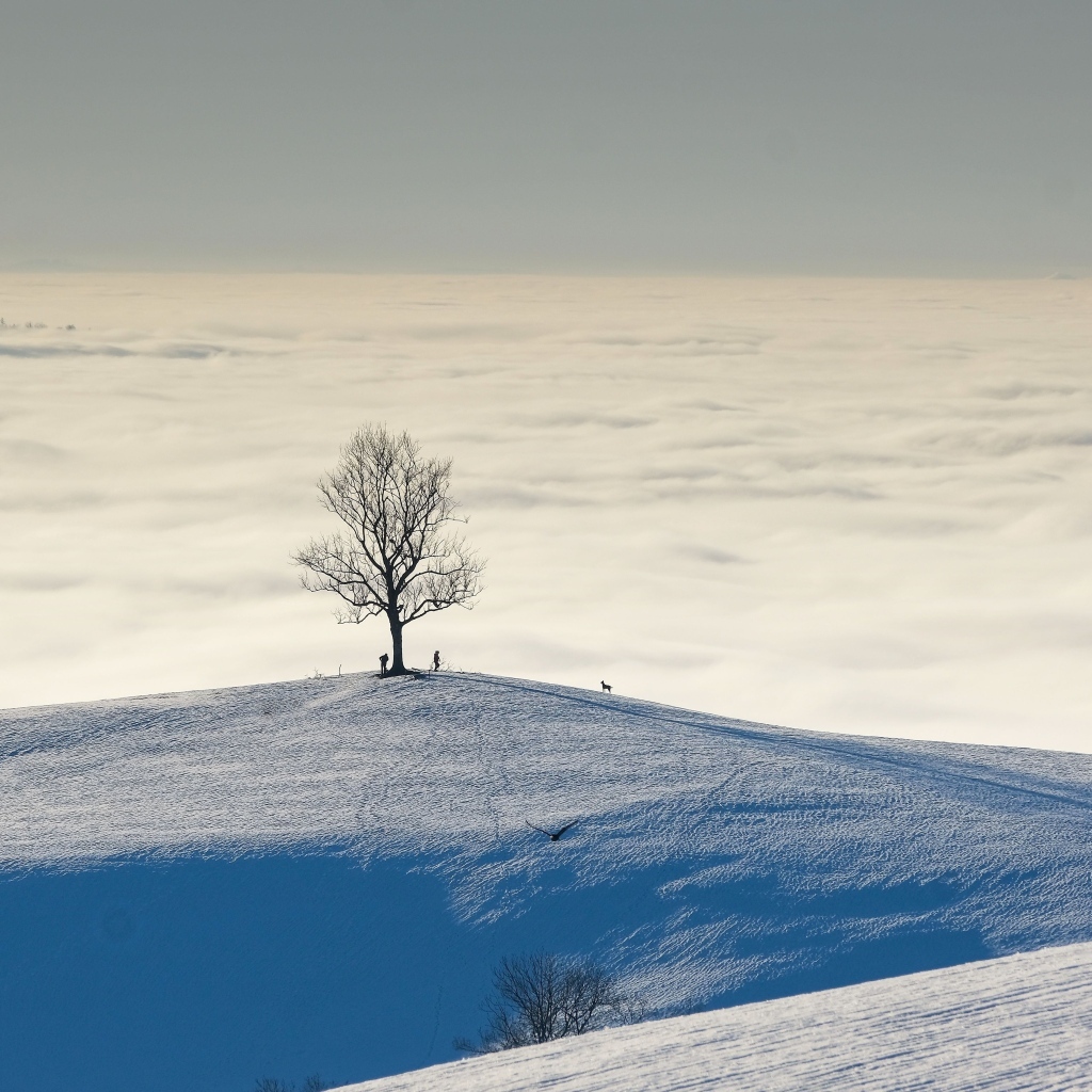 Густые белые облака в заснеженных горах