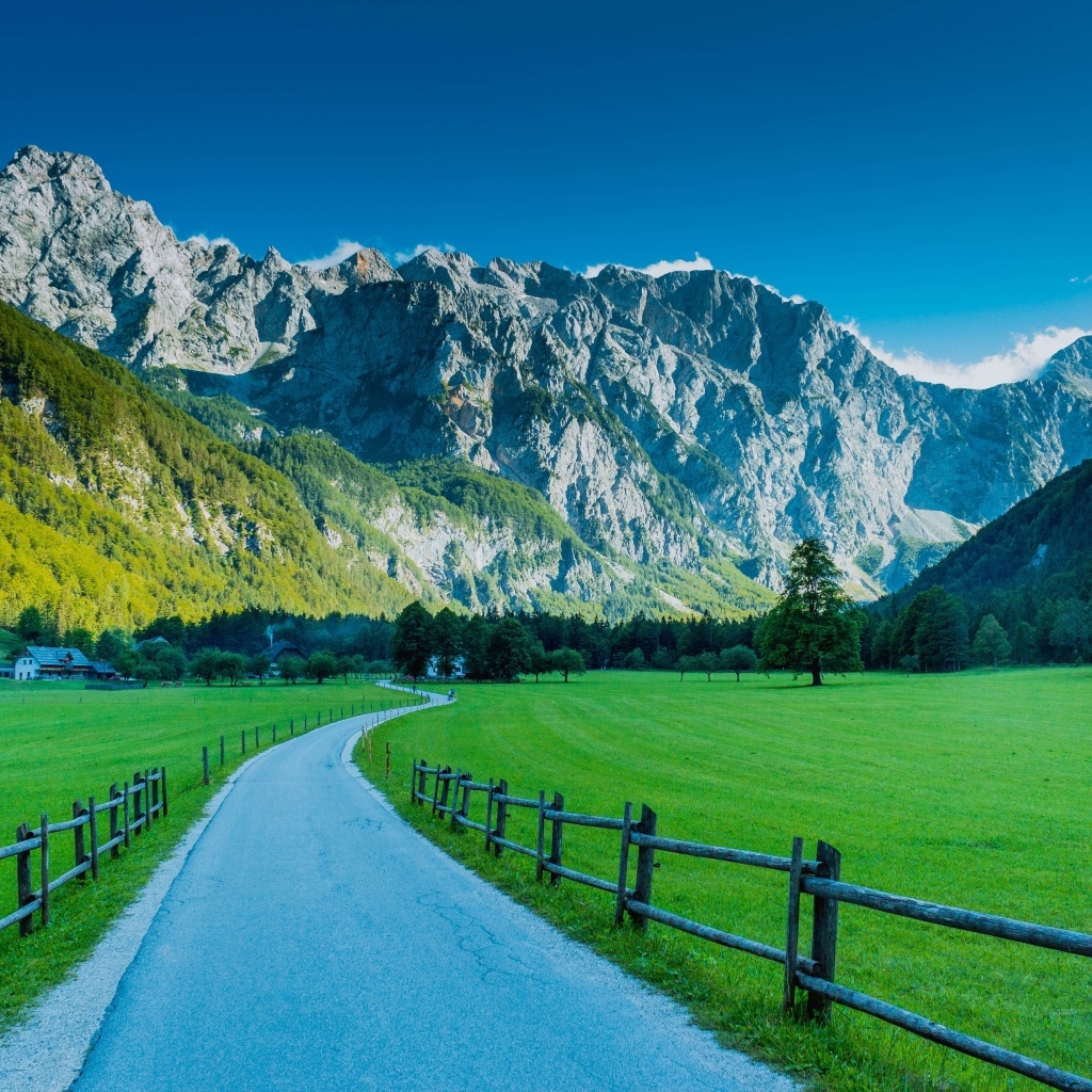 Вид на Альпы в Логарской  долине