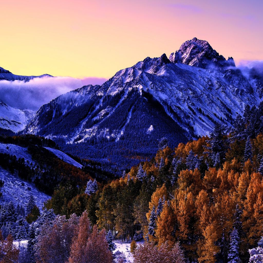 Вид на заснеженную гору и лес