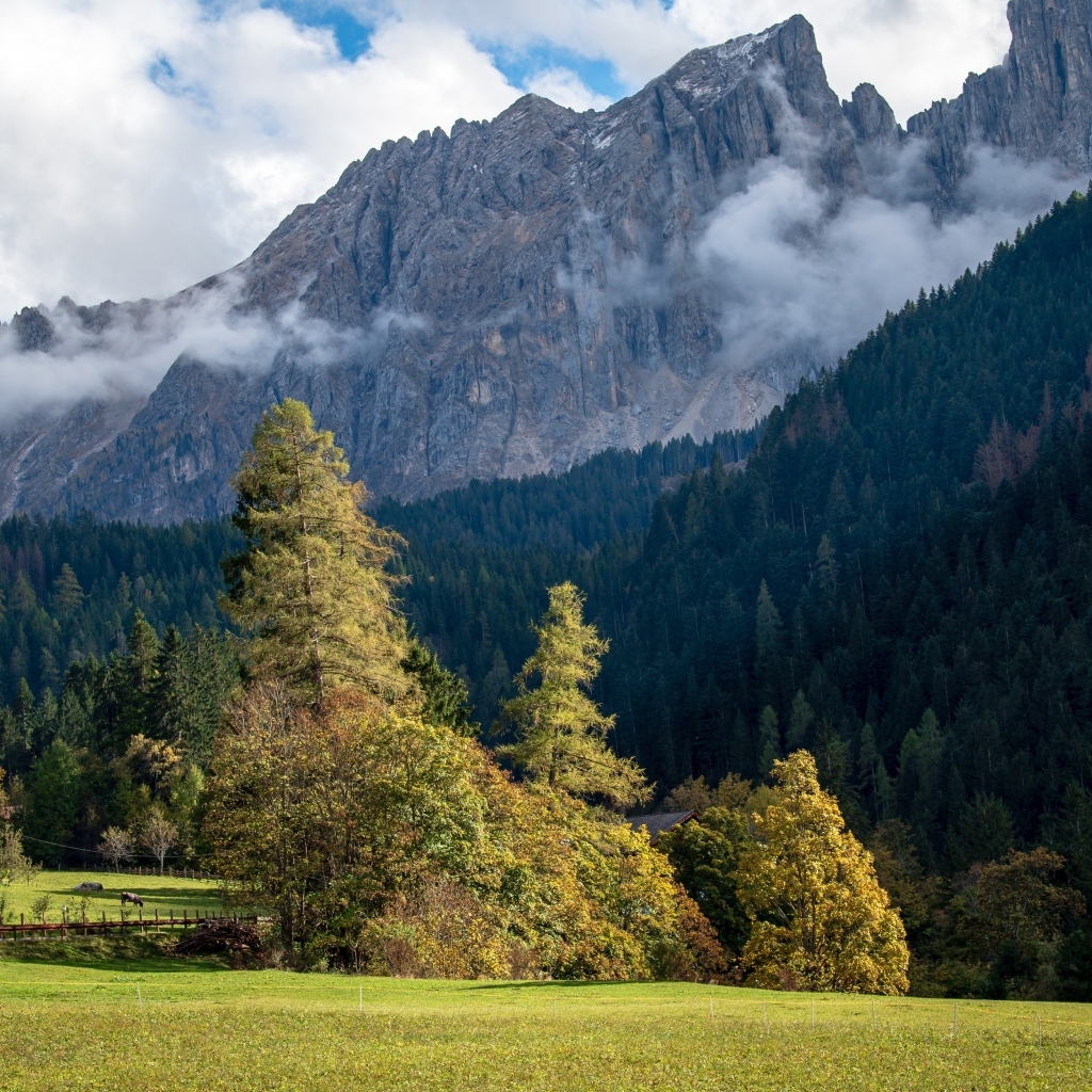 Белый туман над высокими каменными горами