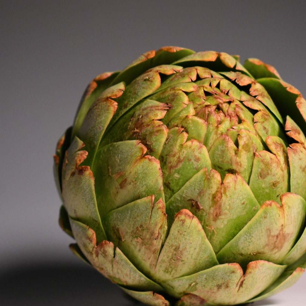 Большой зеленый артишок на сером фоне