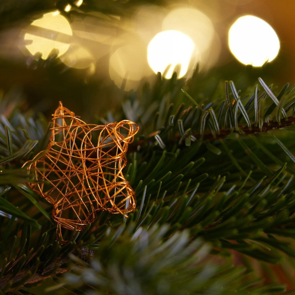 Звезда лежит на зеленой еловой ветке