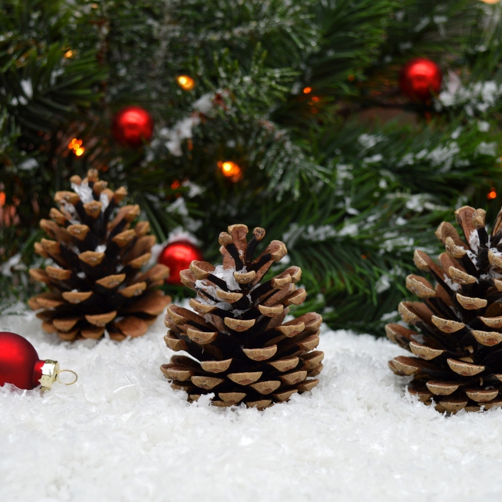 Три большие шишки на снегу под елью