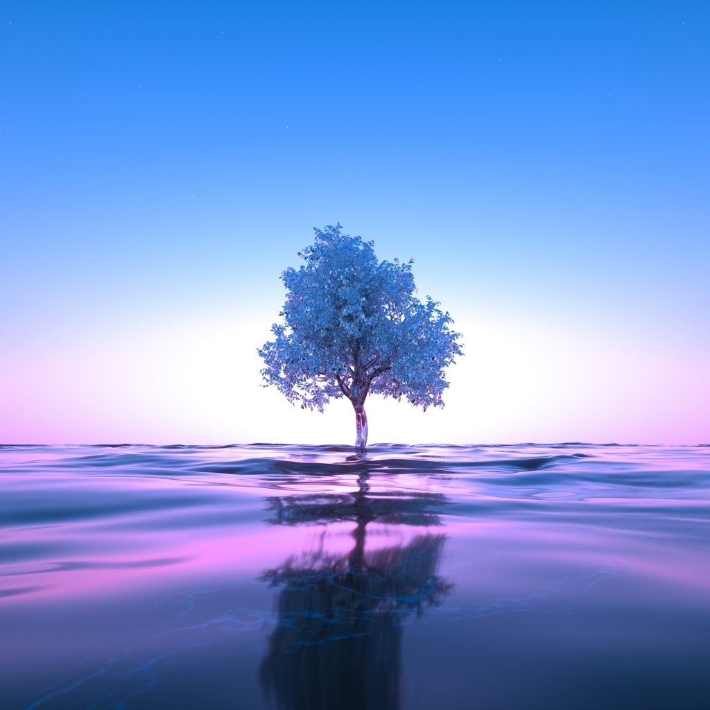 Дерево растет в воде на фоне неба