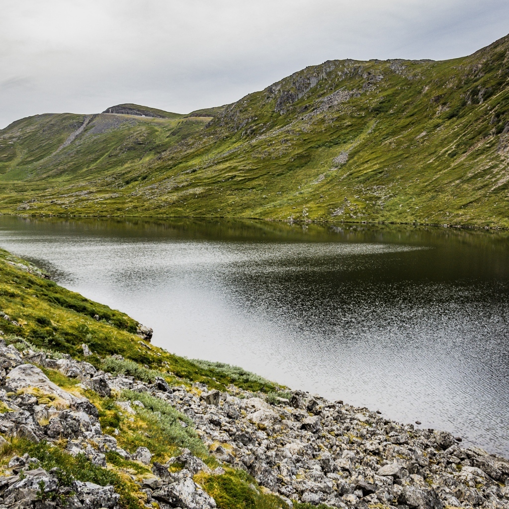 Спокойная река у покрытых зеленью холмов