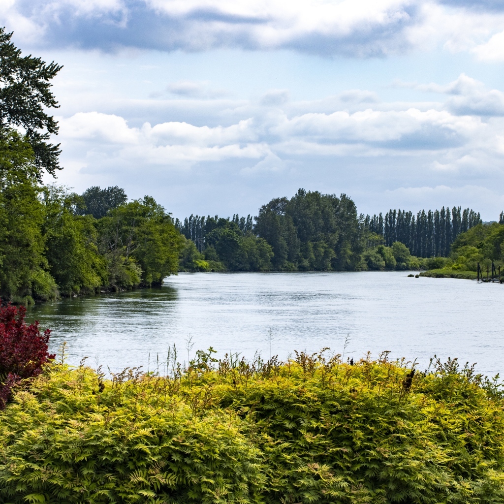Озеро с покрытыми деревьями берегами