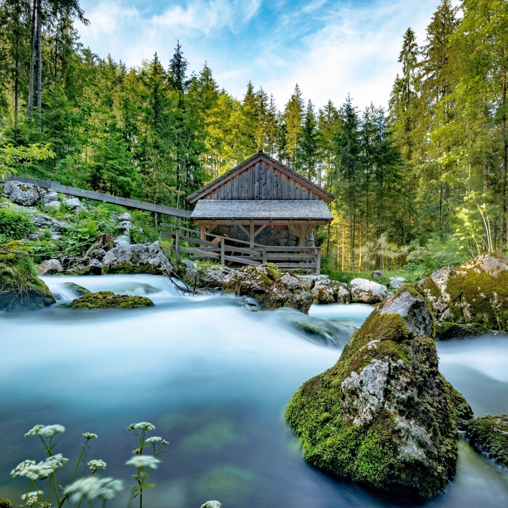 Старая хижина в лесу у горной реки