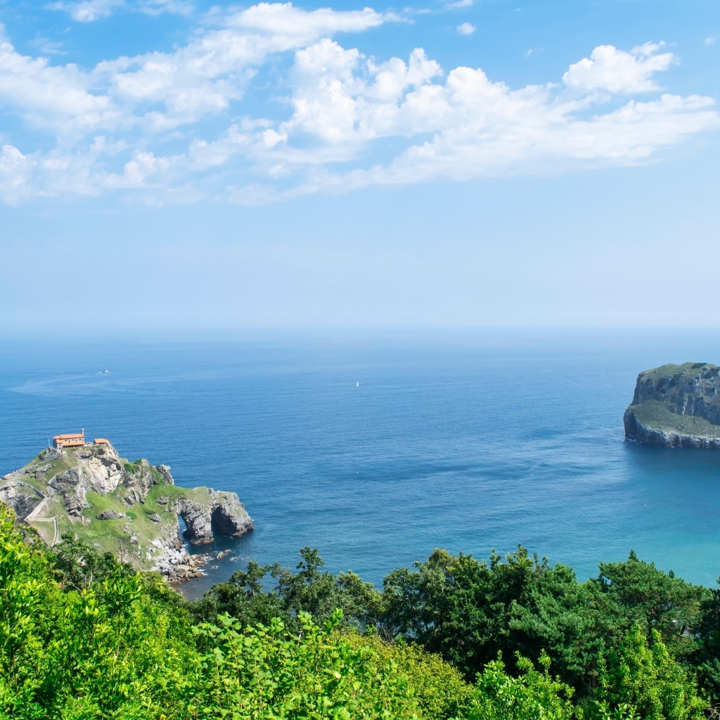 Красивый вид на море с покрытой деревьями горы