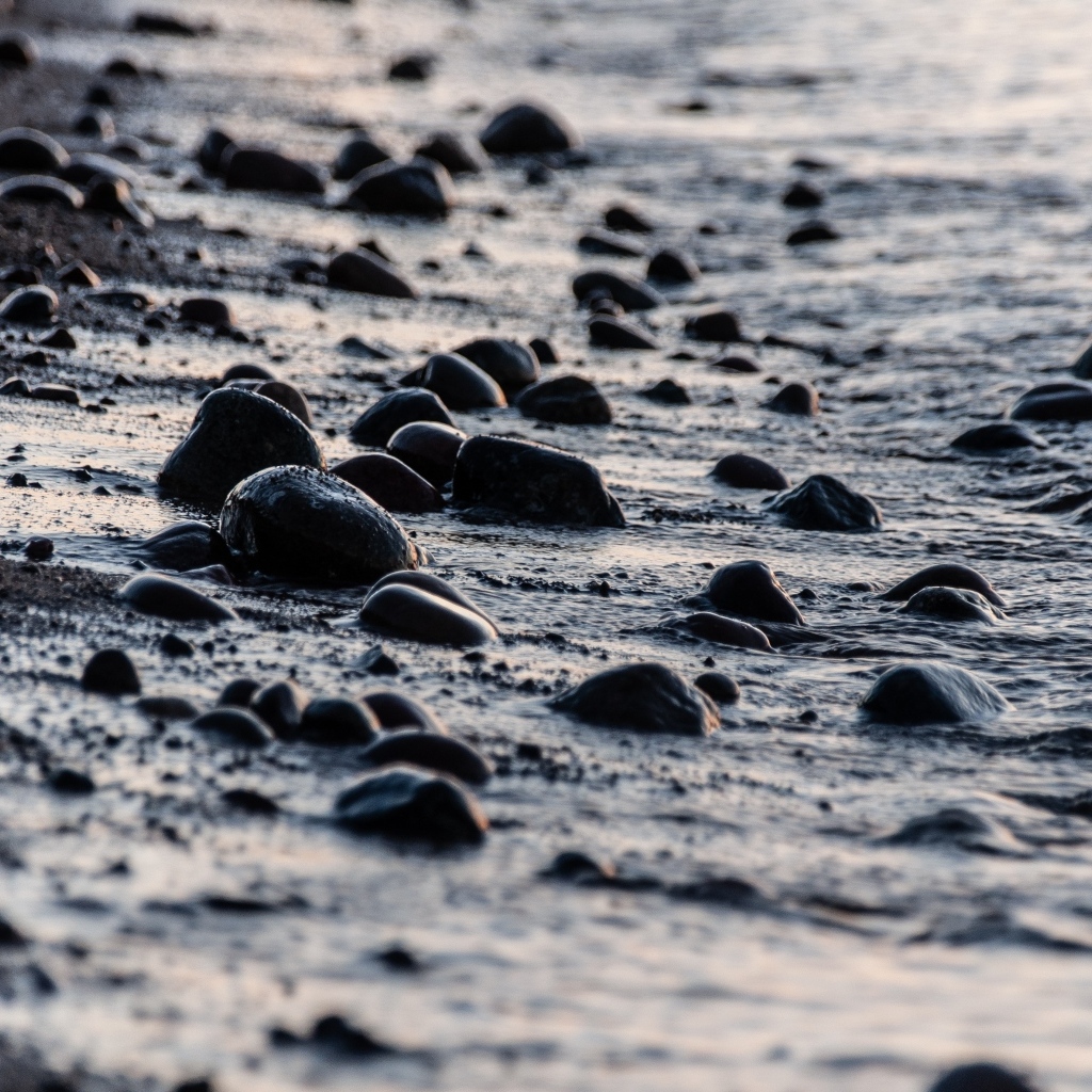 Мокрые камни на песке у моря