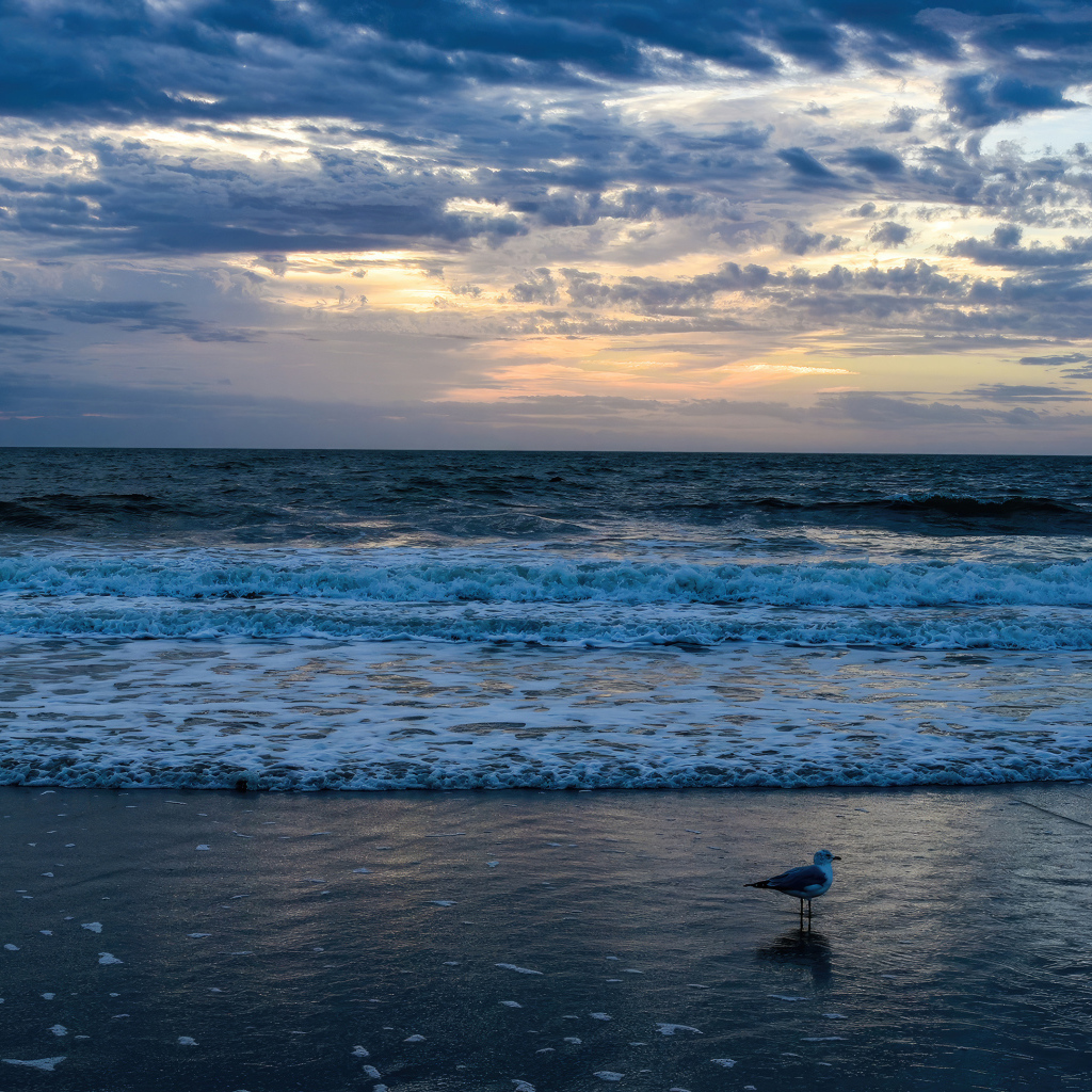 Белые волны окутывают берег моря на рассвете