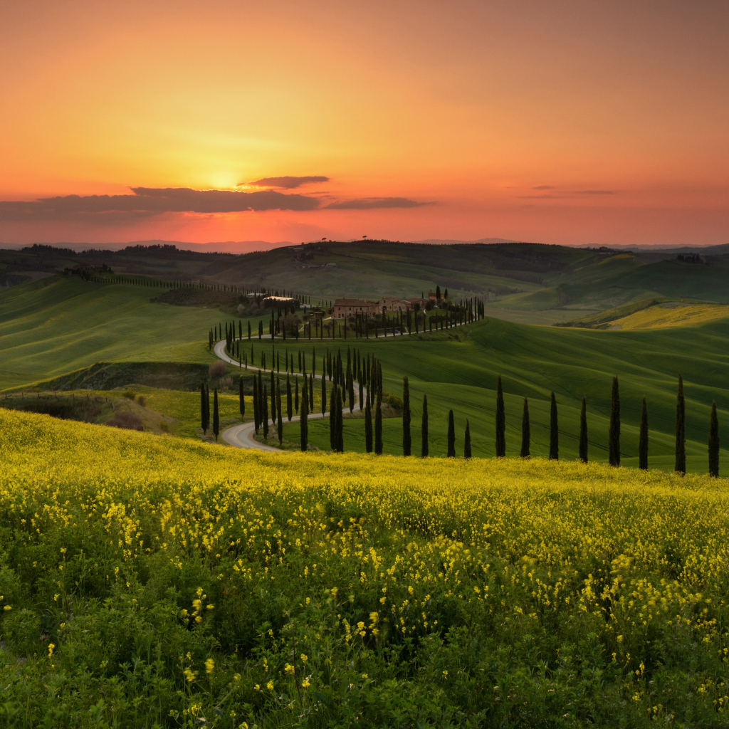 Красивый вид на зеленые холмы на закате