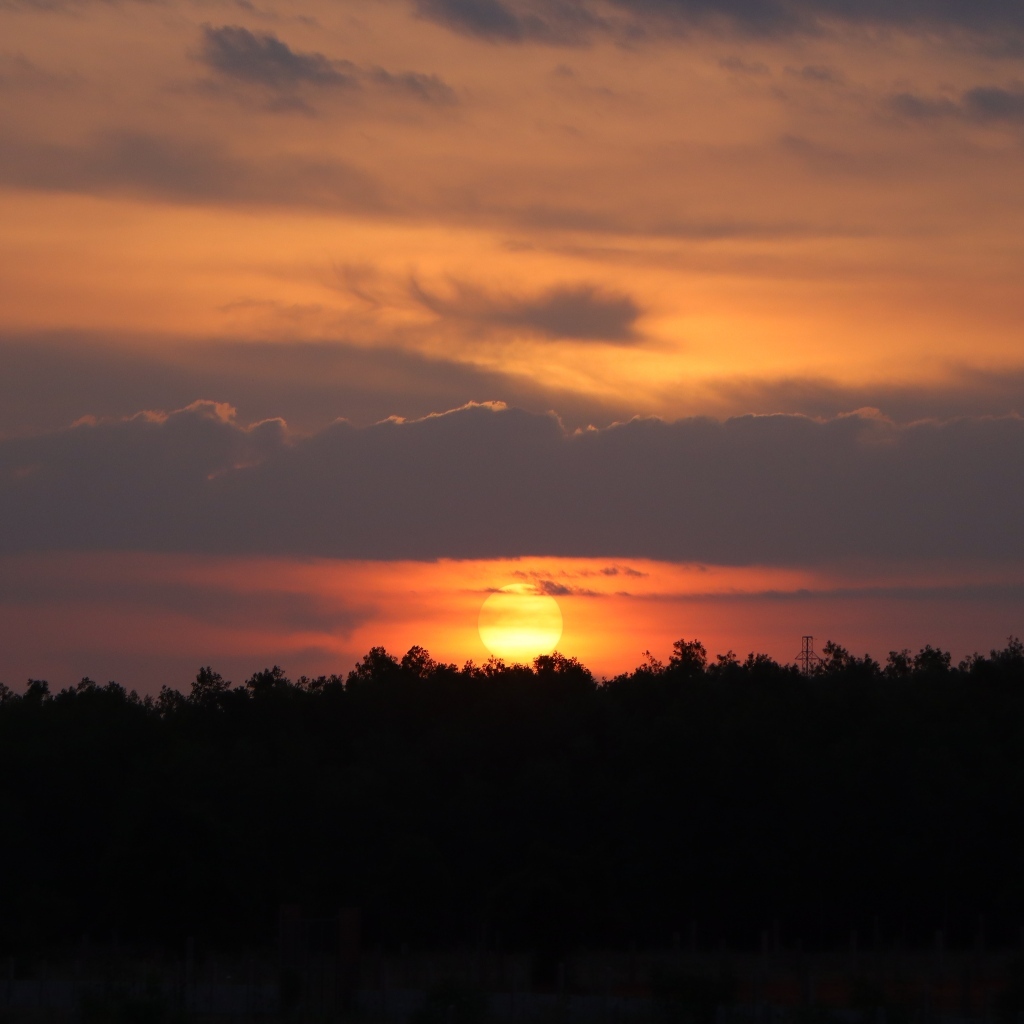 Яркое солнце садится за лесом