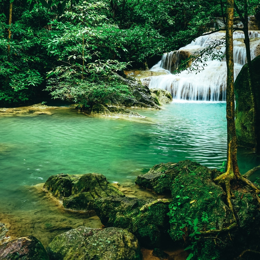Чистая голубая вода лесного водопада