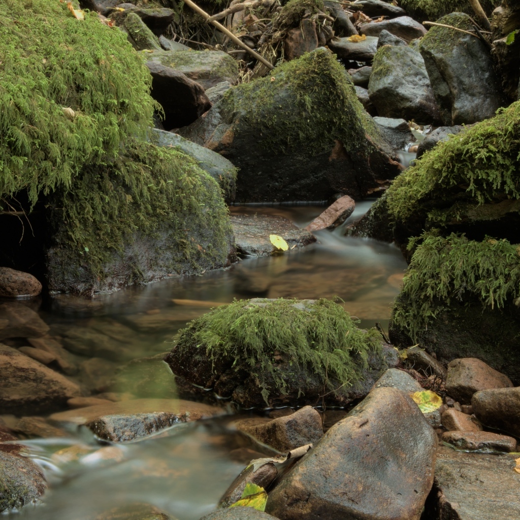 Лесной водопад стекает по холодным камням осенью