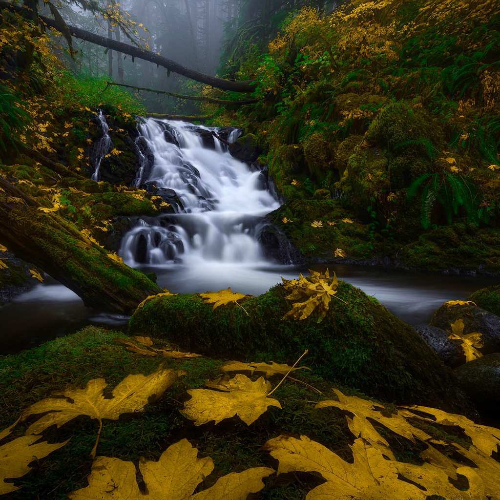 Водопад в лесу осенью