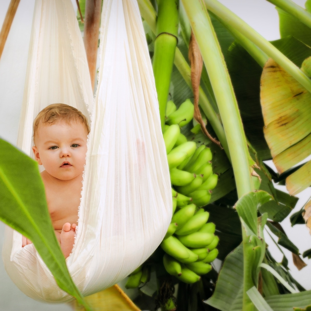Ребенок в гамаке в тропических зарослях