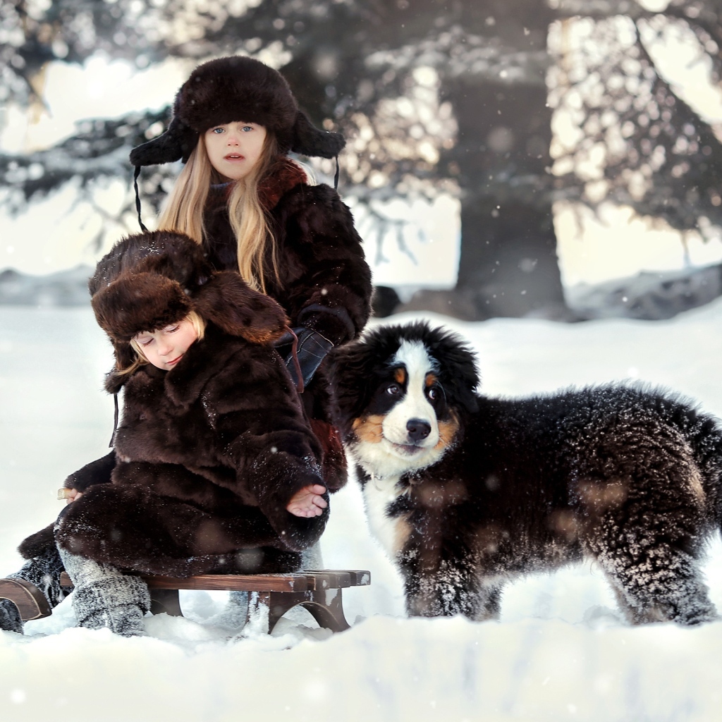 Дети на санках со щенком зимой