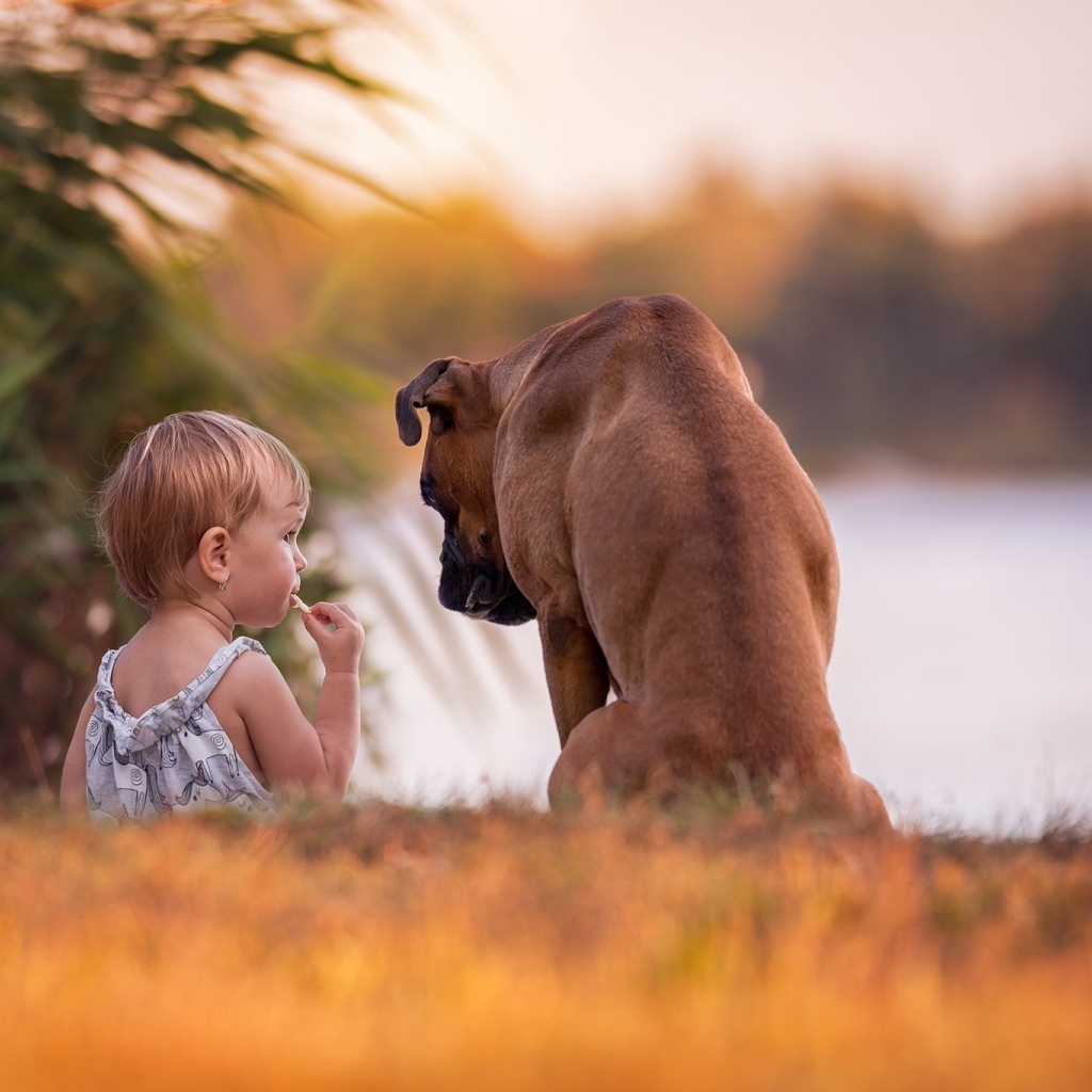 Девочка с собакой на берегу реки
