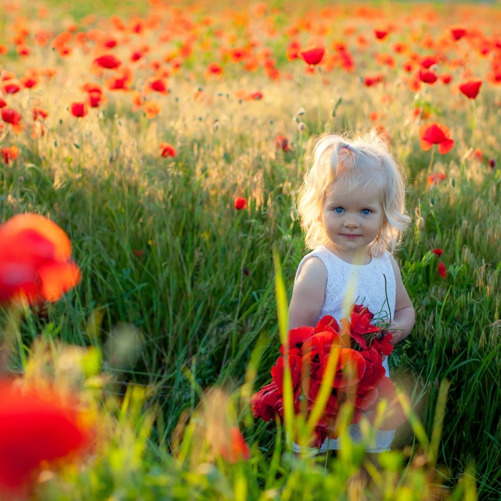 Маленькая голубоглазая девочка на поле с маками