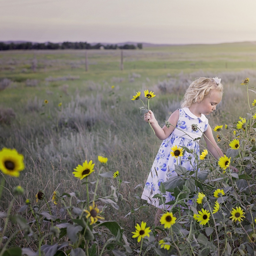 Маленькая девочка собирает желтые цветы