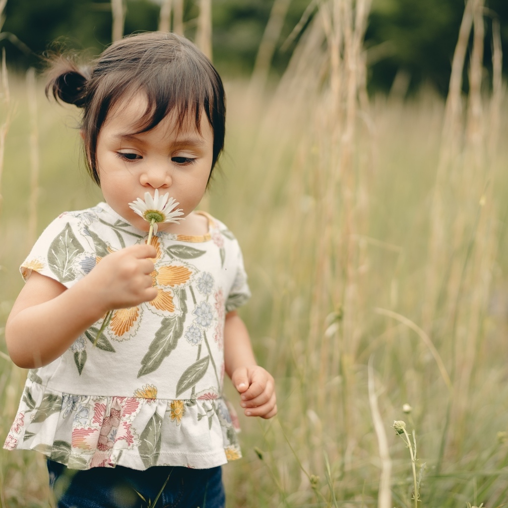 Маленькая девочка с ромашкой на поле