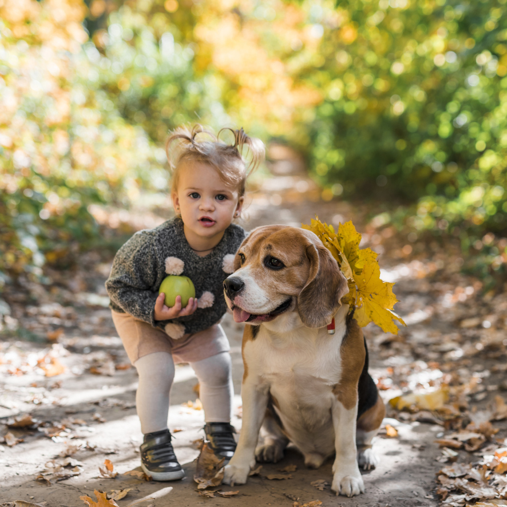 Маленькая девочка с собакой в парке