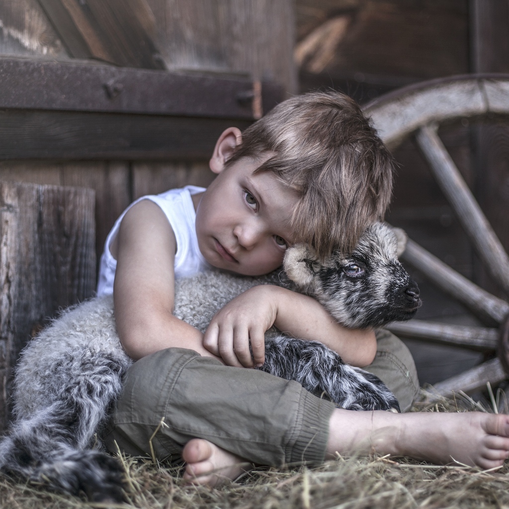 Маленький грустный мальчик обнимает ягненка