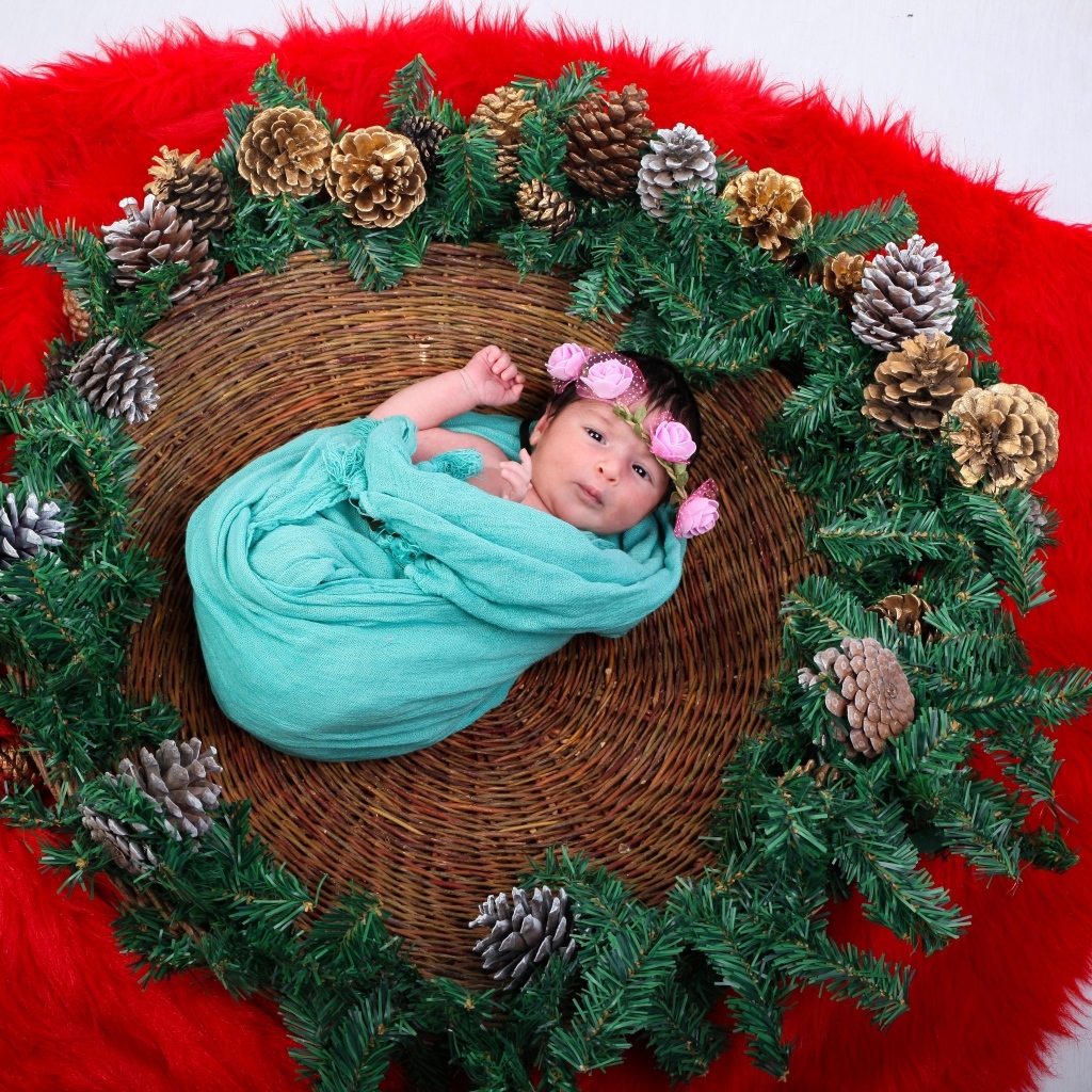 Новорожденная девочка в корзине с еловыми ветками