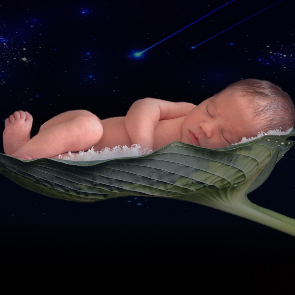 Новорожденный малыш спит на листе лотоса