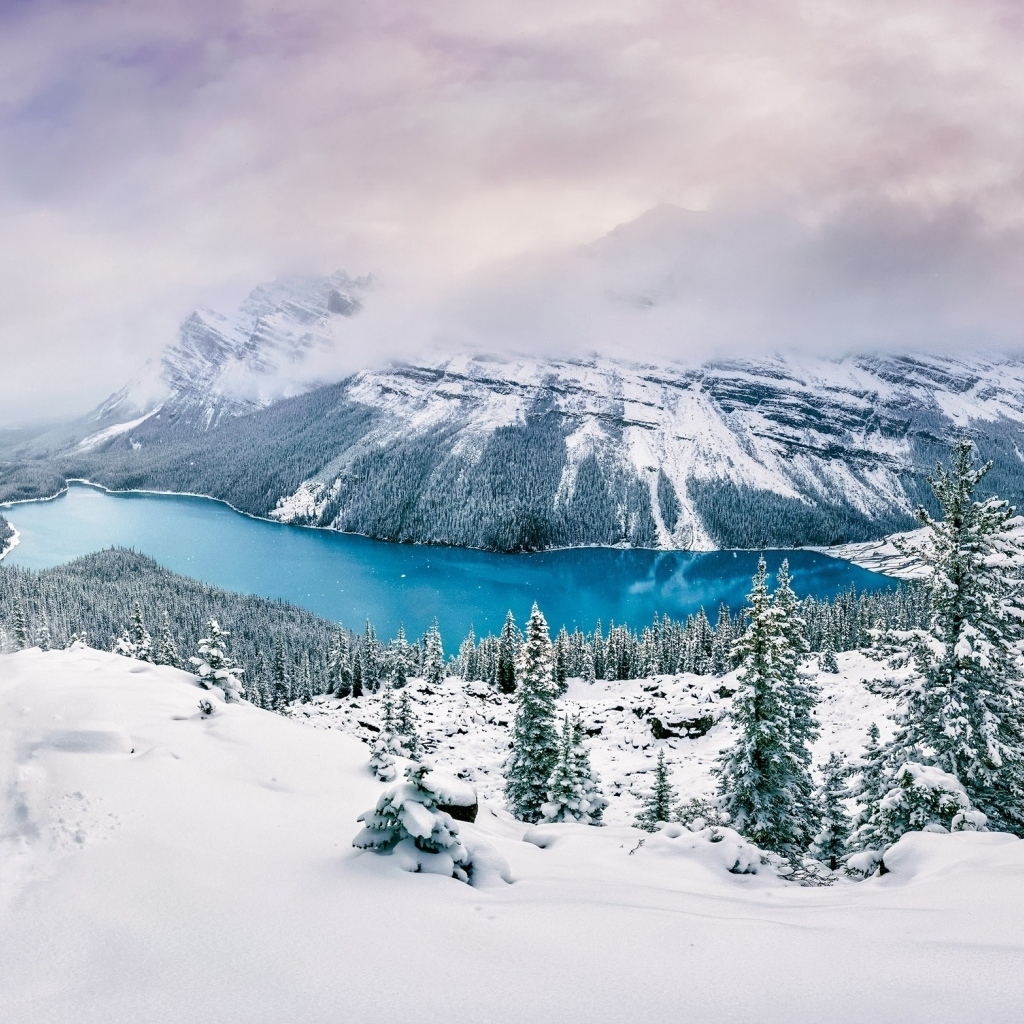 Вид на заснеженные горы, лес и реку