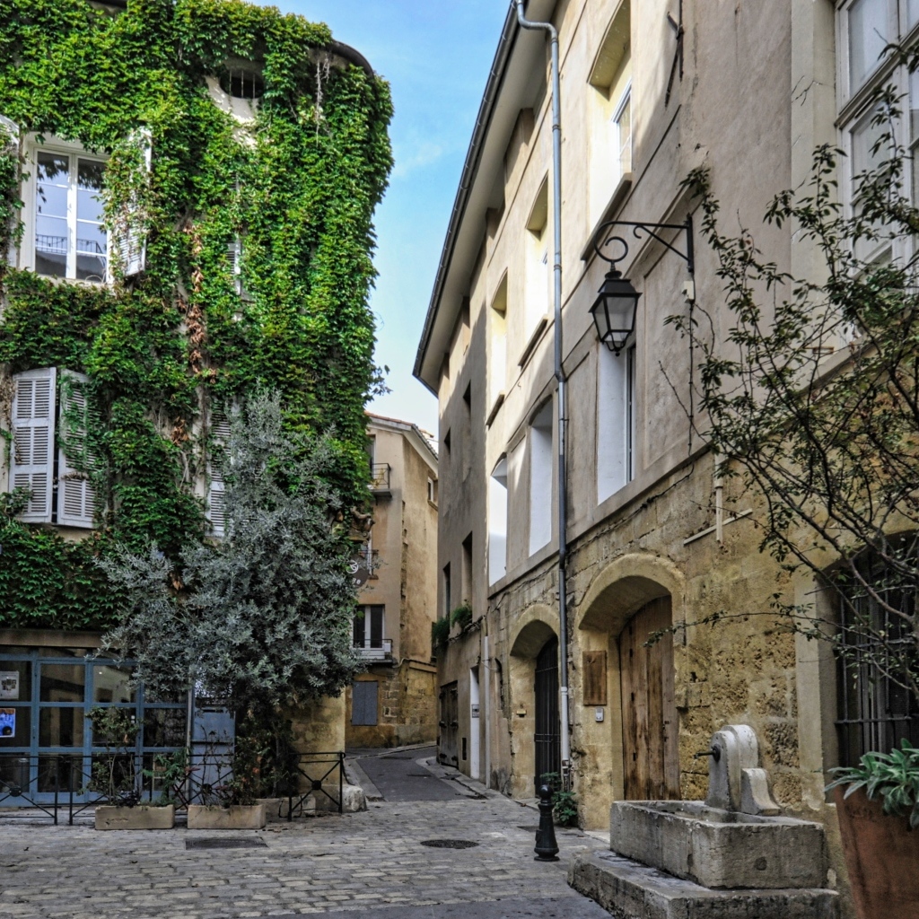 Покрытые зеленой растительностью дома на улице города