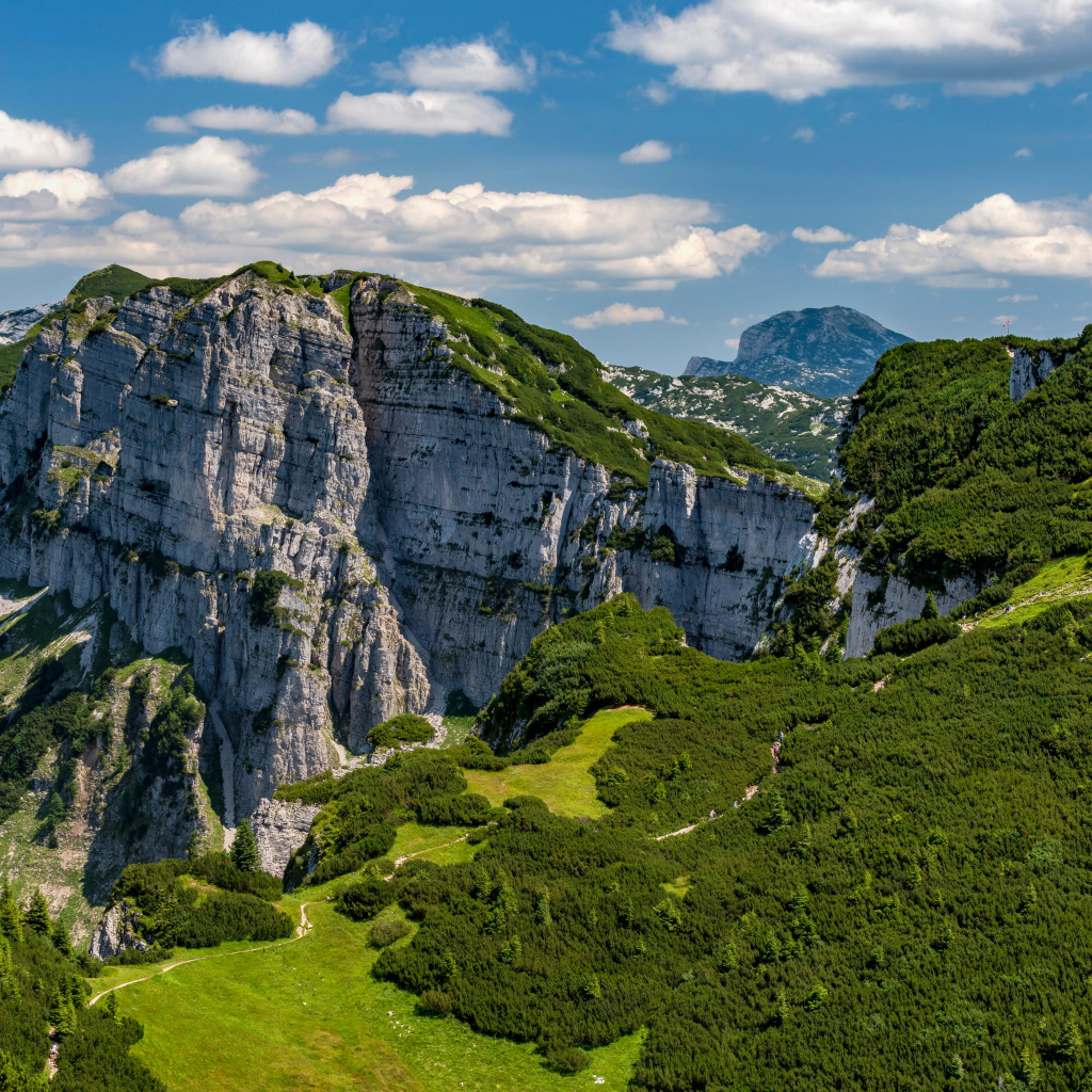 Вид на покрытые зеленью Австрийские Альпы